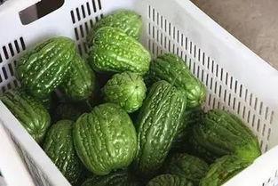 166今日黑瓜吃料A