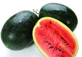 双反差黑料吃瓜网,吃瓜网带你探秘娱乐圈风云